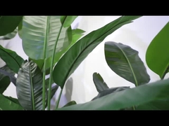 Video della sezione rotante