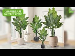 Palma del viaggiatore artificiale con bordi delle foglie realistici 160cm 180cm | Finto uccello del paradiso realistico