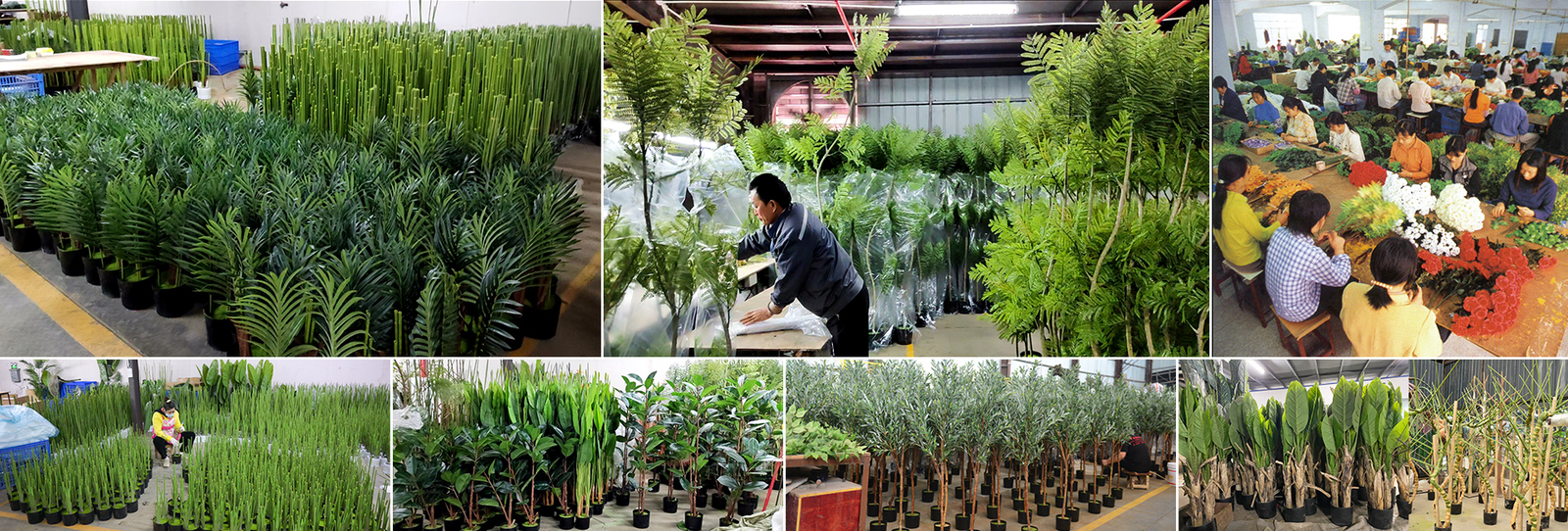 Grandi palme artificiali