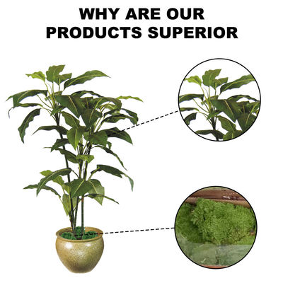 Faux DIEFFENBACHIA PLANT Custom Size No Maintenance Required Cozy Indoor Decor No Nursing Bonsai