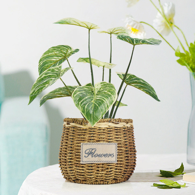 PE Artificial Potted Floor Plants For Fake Plant Philodendron Birkin