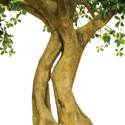 3m Height Artificial Landscape Trees Pittosporum Ficus Tree for office