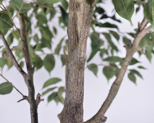 Indoor/Outdoor Faux Silk Plant 2.8m 9.3ft Ficus Artificial Tree​ For Home, Office, Living Room, And Garden Decor