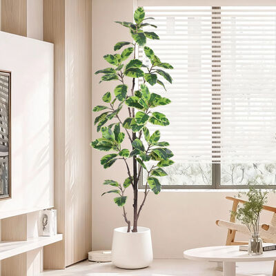 Latest New Arrival Artificial Indoor Plants Potted Plants Green White Faux Rubber Tree for Decoration Home Office Small Plastic