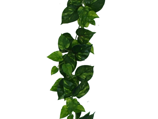 Easy To Care Lifelike 200cm Artificial Vine Plant Plastics