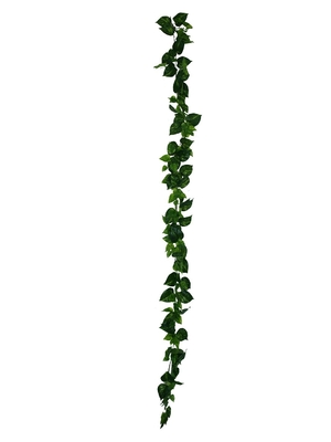 Easy To Care Lifelike 200cm Artificial Vine Plant Plastics