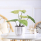 Philodendron conservato in vaso artificiale Birkin delle piante del pavimento degli oggetti poco importanti ornamentali