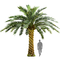 Nessuna dimensione su misura albero artificiale di cura della palma da datteri degli alberi del paesaggio del deposito grande