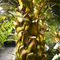 Nessuna dimensione su misura albero artificiale di cura della palma da datteri degli alberi del paesaggio del deposito grande