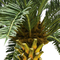 Grande albero artificiale tropicale della palma da datteri nessuna decorazione all'aperto altamente simulata delle piante di professione d'infermiera