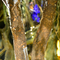 Il sempreverde dell'interno artificiale dell'albero di banyan non lascia a nessun albero del Faux dell'acqua parassita piante