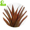 piante conservate in vaso artificiali del pavimento di 100cm, UV della pianta dell'agave del Faux anti