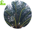 Albero tropicale artificiale 1200cm antinvecchiamento di resistenza al vento per Hotle