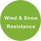 Albero artificiale di ficus di certificazione di resistenza della neve e del vento