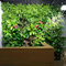 Anti inverdimento verticale UV decorativo, parete artificiale HAIHONG della pianta