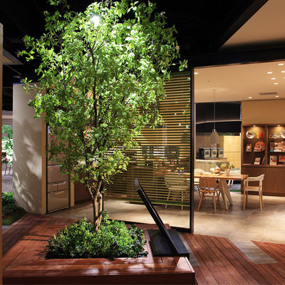 Ficus elastica artificiale artificiale dell'albero di seta di Lyrata di ficus degli alberi di banyan di Attrations dei turisti grande