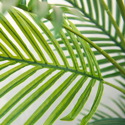 6ft Indoor Artificial Palm Trees thick foliage Tall Faux Silk Large Artificial Plant For Home Decor