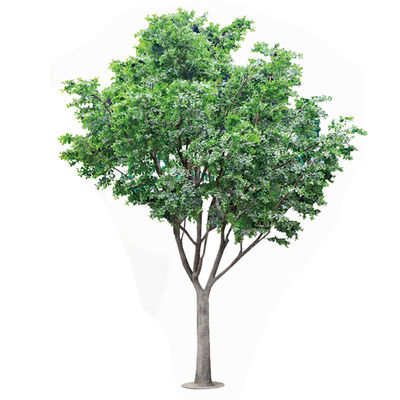 Albero artificiale di Banyan per la decorazione, personalizzato resistente ai raggi UV e ignifugo 5 metri di altezza