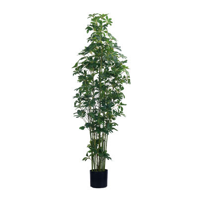 47in 59in 70in Alto Tocco Reale Schefflera Artificiale Albero Verde Vaso Schefflera Pianta Per La Decorazione Della Casa