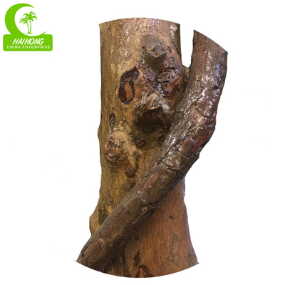 Indoor Decoration 110cm Artificial Podocarpus Tree Customizable